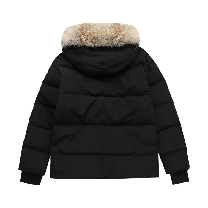 CG - PUFFER